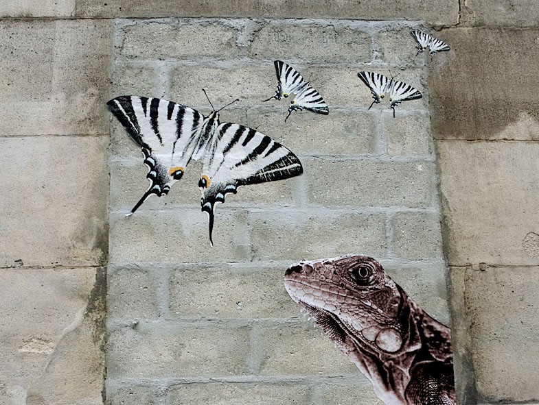 Diaporama La jungle animale et urbaine - L'iguane et les papillons, rue Condorcet. | Photo Sophie photographe