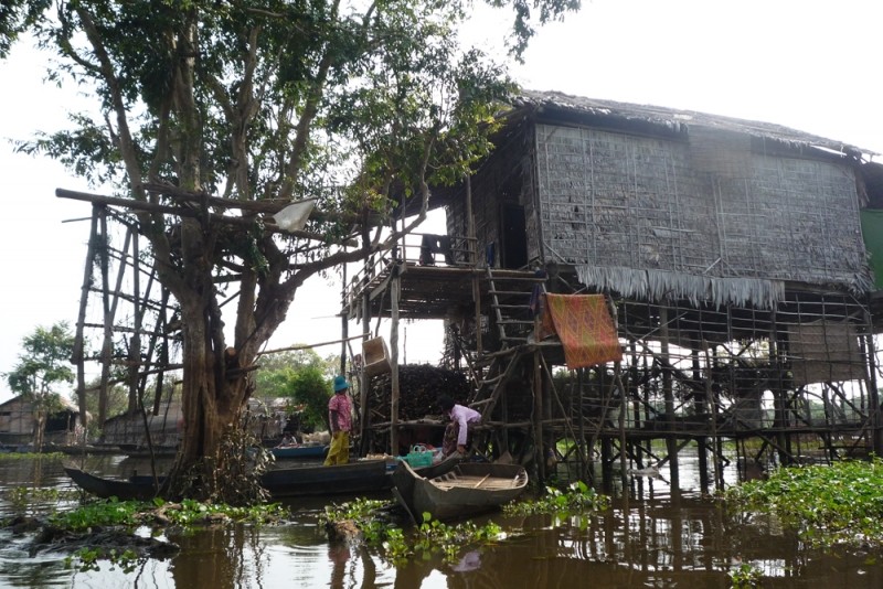 Diaporama Les maisons plantées dans l'eau  - [Cambodge] Une maison isolée | Amélie Roux