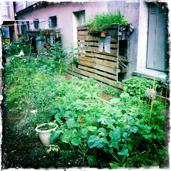 Diaporama Le 56, un jardin nommé désir - les palette végétalisées l Amélie Roux