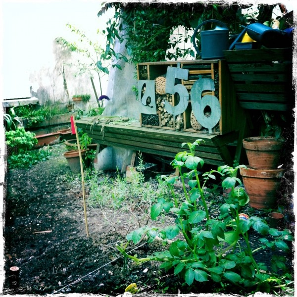 Diaporama Le 56, un jardin nommé désir - Le 56 Saint-Blaise, un jardin partagé l Amélie Roux