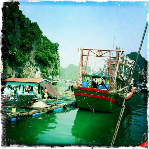 Diaporama Baie d’Ha Long et villages flottants - Les bateaux sont amarrés. l Amélie Roux