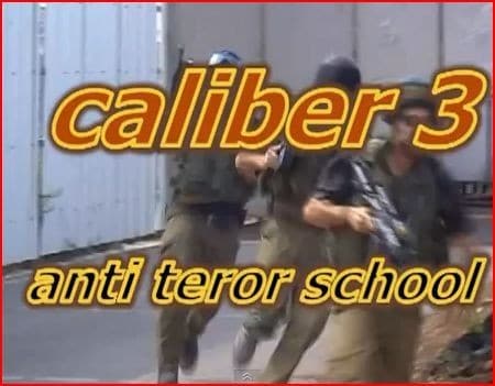 Caliber 3,