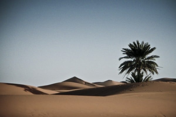 Le sahara une immensité | FlickR_CC_Vampirogordo