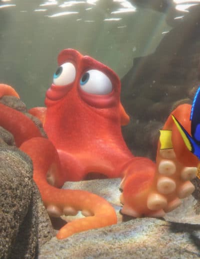 "Le monde de Dory", l'autre facette de l'oubli