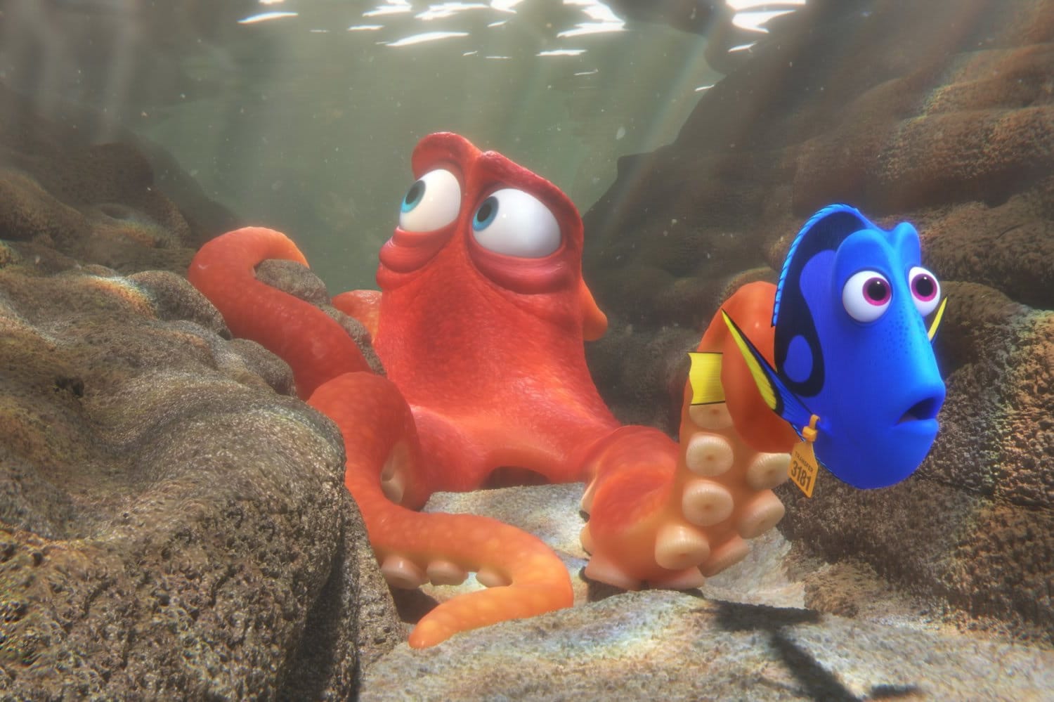 « Le monde de Dory », l’autre facette de l’oubli