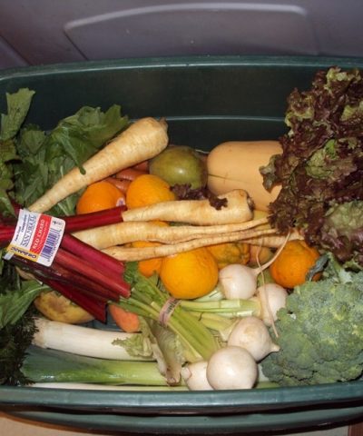 Dans ma poubelle, un vrai gueuleton