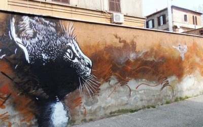 C215, C l’histoire d’un père