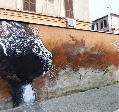 C215, C l’histoire d’un père