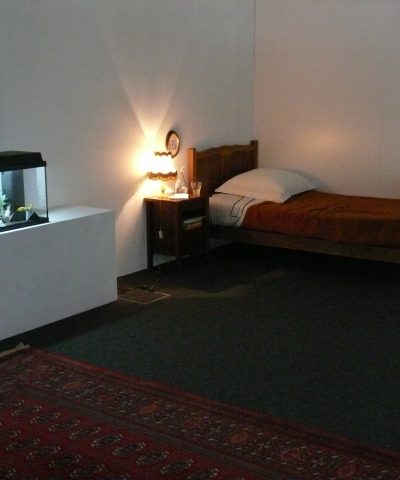 “Collection Morel”, espèces d’espaces