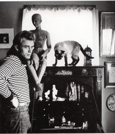 James Dean, hors-champ