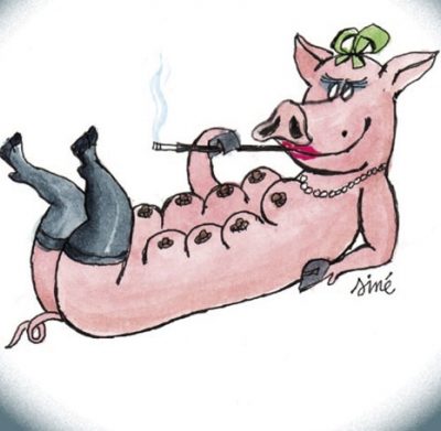 De la civilité porcine