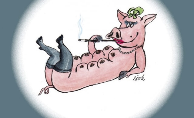 De la civilité porcine