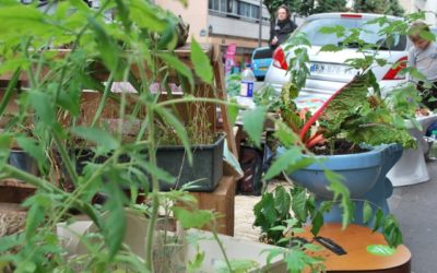 L'armée des plantes
