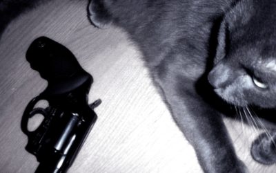 Une tueuse de chats en série arrêtée au Brésil