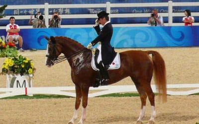 Hoketsu, 71 ans, qualifié pour les JO de Londres