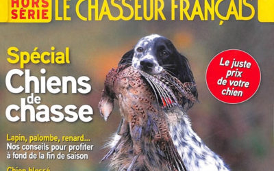 Une plongée croustillante dans les petites annonces du Chasseur français