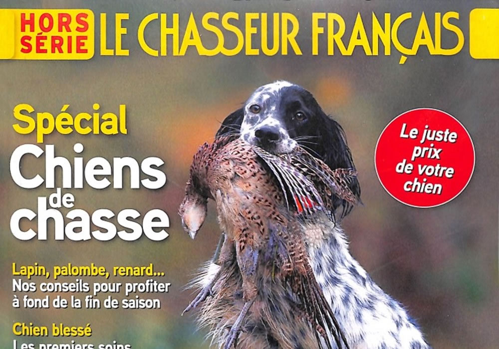 Une plongée croustillante dans les petites annonces du Chasseur français