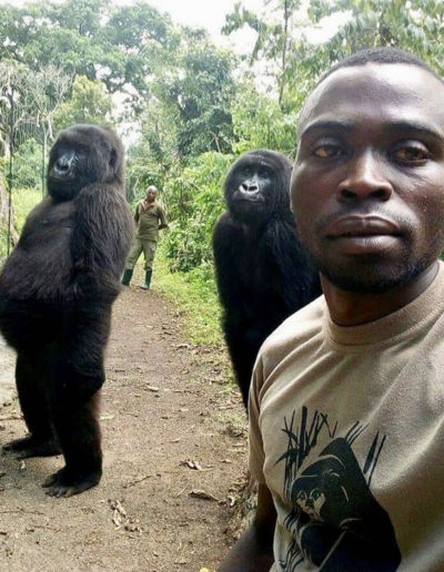 Dans les Internets #122