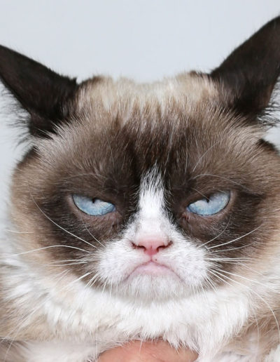 Dans les Internets #125