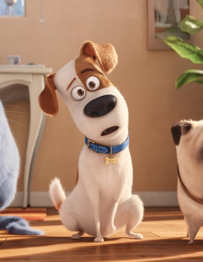 "Comme des bêtes", chacun cherche ses chiens