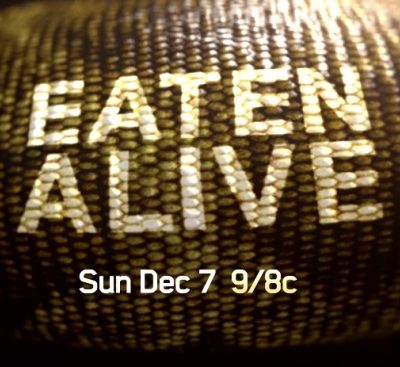 Eaten Alive : Finalement, Paul Rosolie ne s’est pas fait avaler par un anaconda