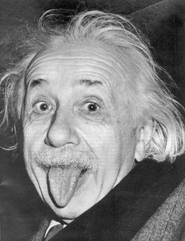 Le cerveau d’Einstein enfin disponible sur iPad !