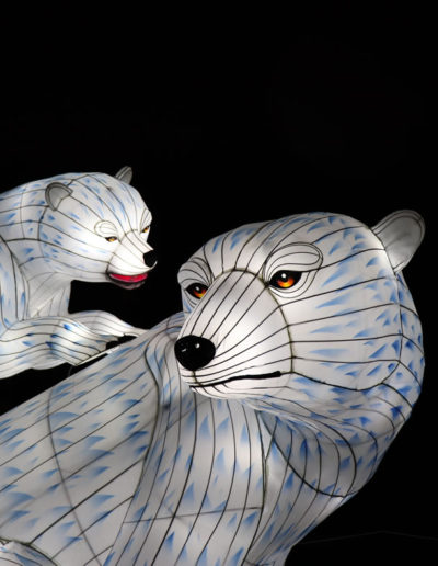 Espèces en voie d'illumination, dernières lueurs avant extinction