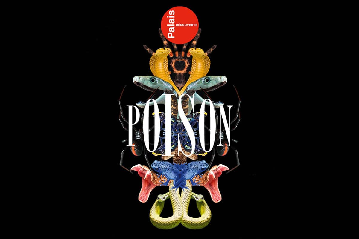 Exposition Poison, rencontres toxiques