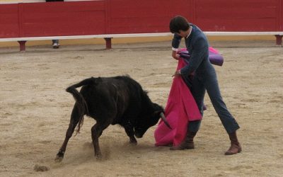 Espagne : emploi ou corrida ?