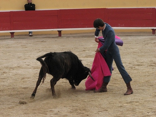 Espagne : emploi ou corrida ?