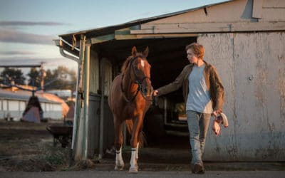 "La route sauvage", trot plein d'espoir