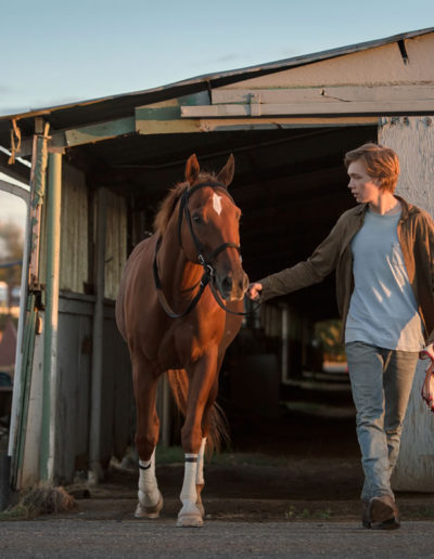 "La route sauvage", trot plein d'espoir