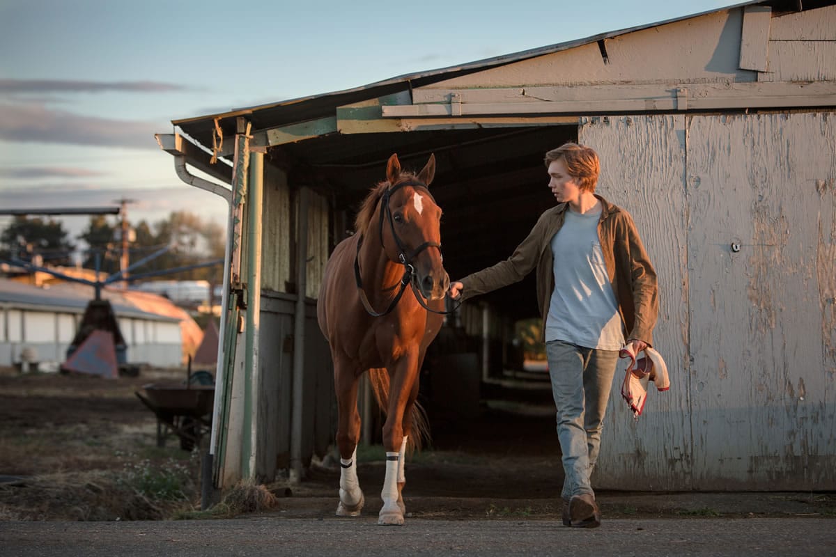 « La route sauvage », trot plein d’espoir