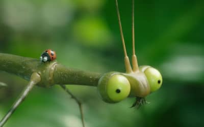 "Minuscule 2 : Les Mandibules du Bout du Monde", une suite sans bug