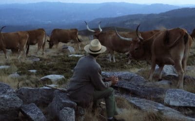 "Volta à Terra", la sincérité est dans le pré