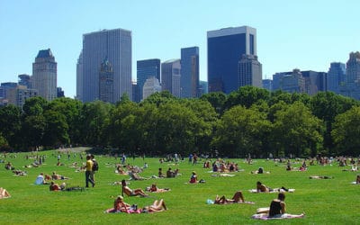 Central Park, le parc des billets verts