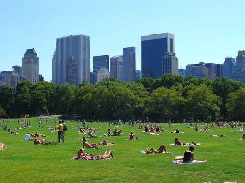 Central Park, le parc des billets verts