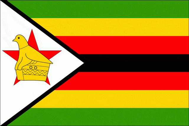 Zimbabwe : plus que 217 dollars en banque…