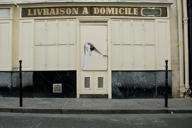 Diaporama La jungle animale et urbaine - Le long bec, rue du Pont aux Choux. | Photo Sophie photographe