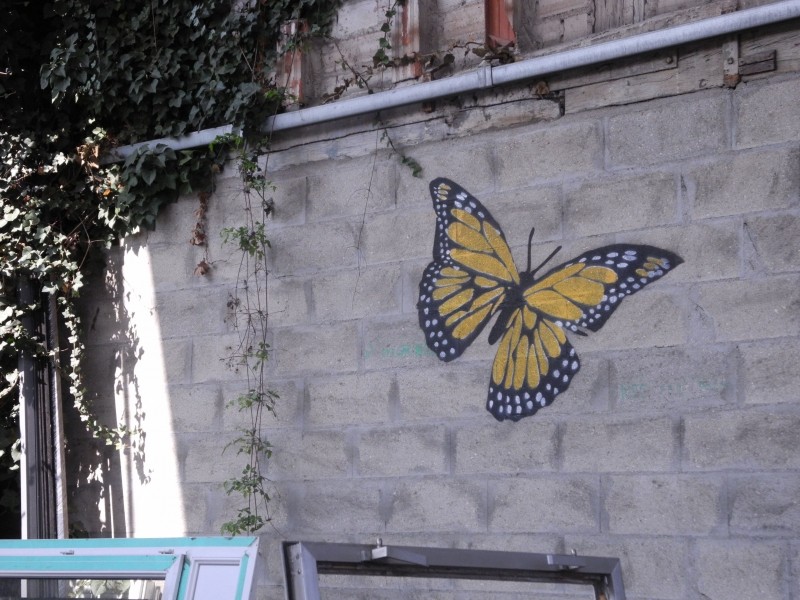 Diaporama Mosko et associés, peintres ouvriers - Papillon, proche de l'atelier | Photo Dorothée Duchemin