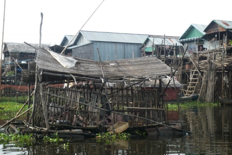 Diaporama Les maisons plantées dans l'eau  - [Cambodge] Le cochon qui flotte | Amélie Roux