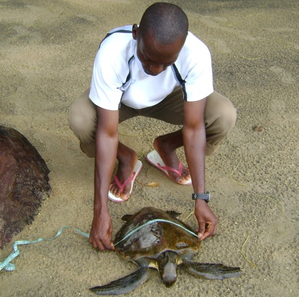 Diaporama Le congé solidaire, pour partir autrement - Protection de la Biodiversité en Guadeloupe l Planète Urgence