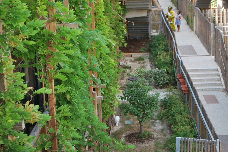 Diaporama Un village parisien  - La glycine pousse depuis trois ans | Photo Dorothée Duchemin