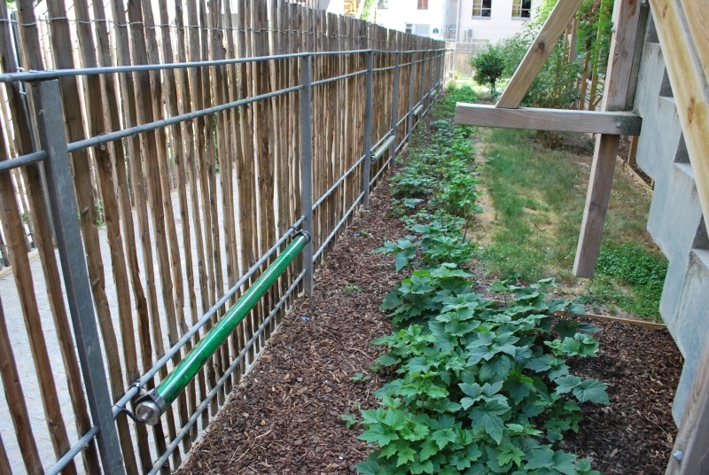 Diaporama Un village parisien  - Aux pieds des marches, les espaces verts | Photo Dorothée Duchemin