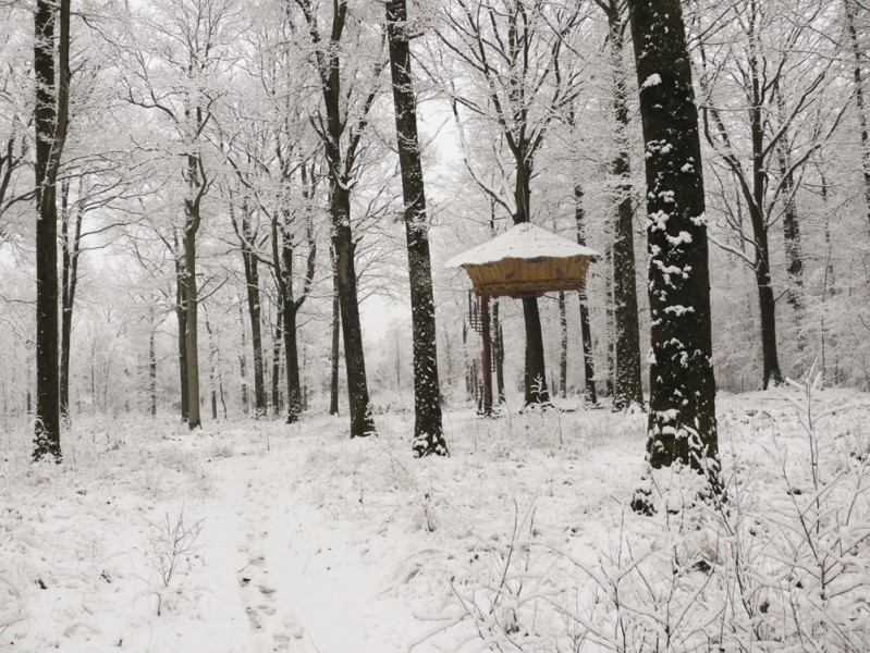 Diaporama La cabane dans le ciel - Et pourquoi pas l'hiver! l La cabane en l'Air