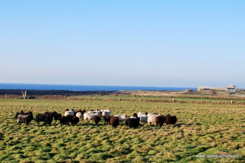 Une île au large de l’espoir