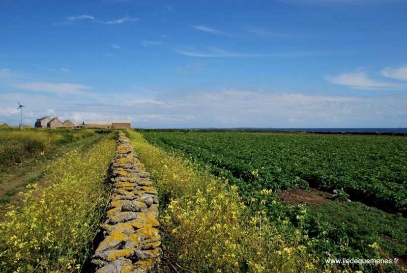 Diaporama Une île au large de l'espoir - | Photo www.iledequemenes.fr