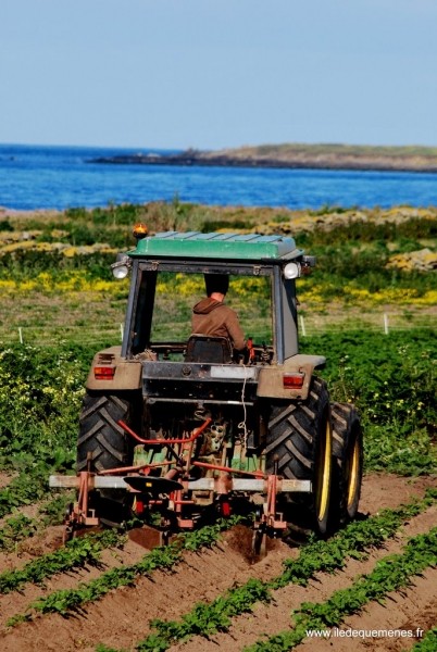 Diaporama Une île au large de l'espoir - | Photo www.iledequemenes.fr