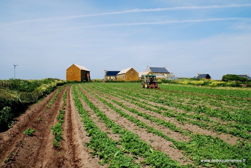 Diaporama Une île au large de l'espoir - | Photo www.iledequemenes.fr