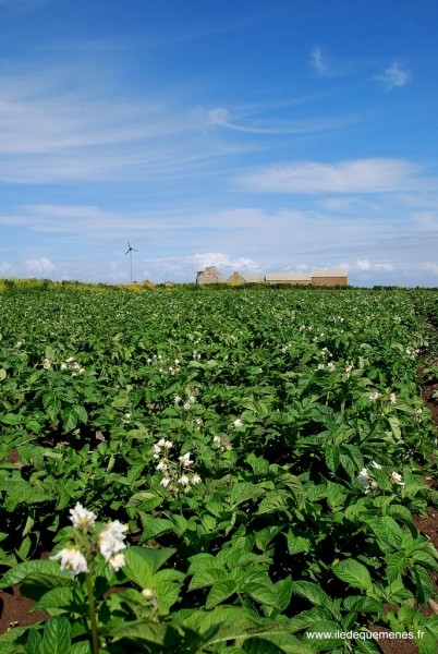 Diaporama Une île au large de l'espoir - | Photo www.iledequemenes.fr